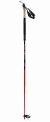 Baltoro Pole