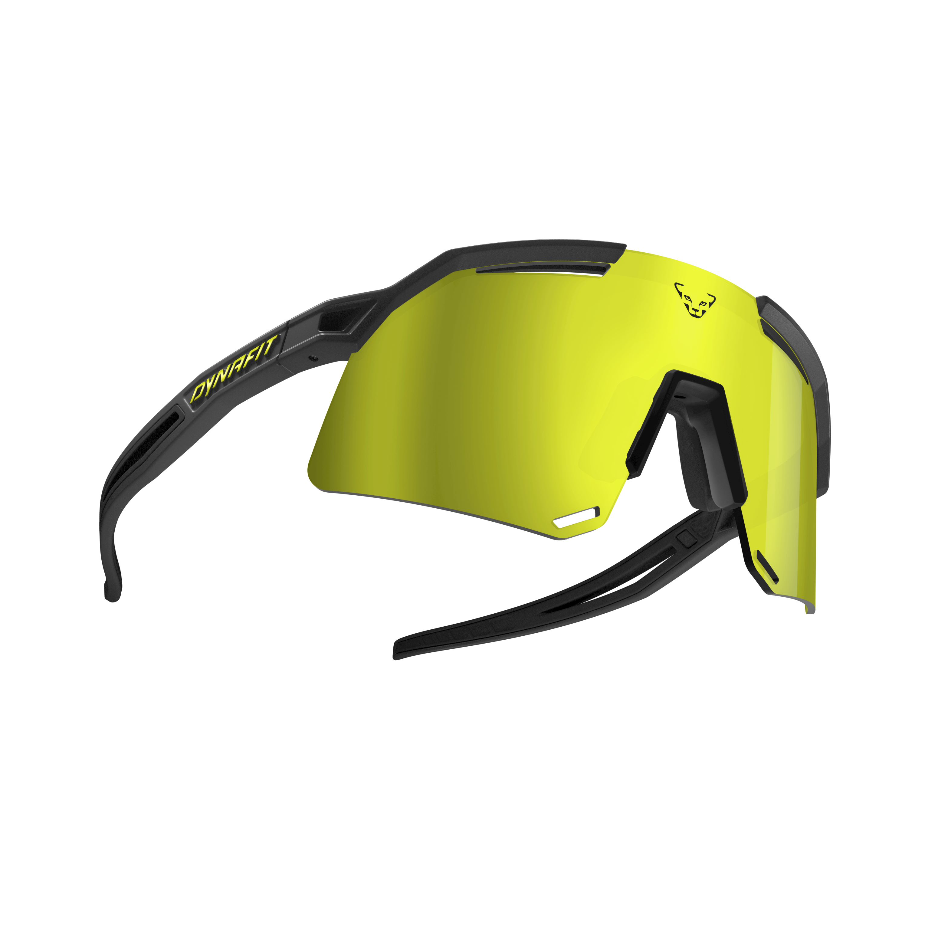 Ultra Evo Sunglasses
