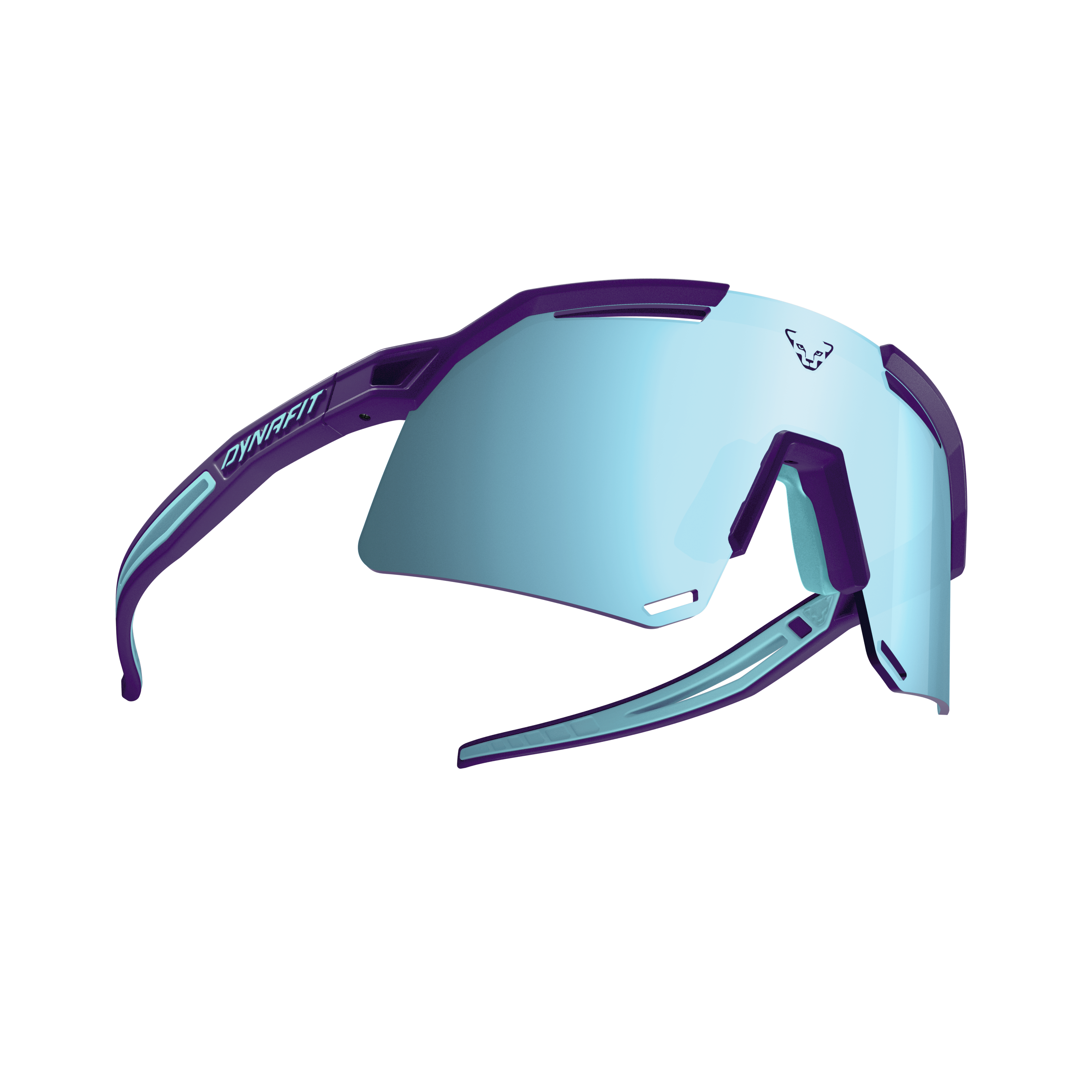 Ultra Evo Sunglasses
