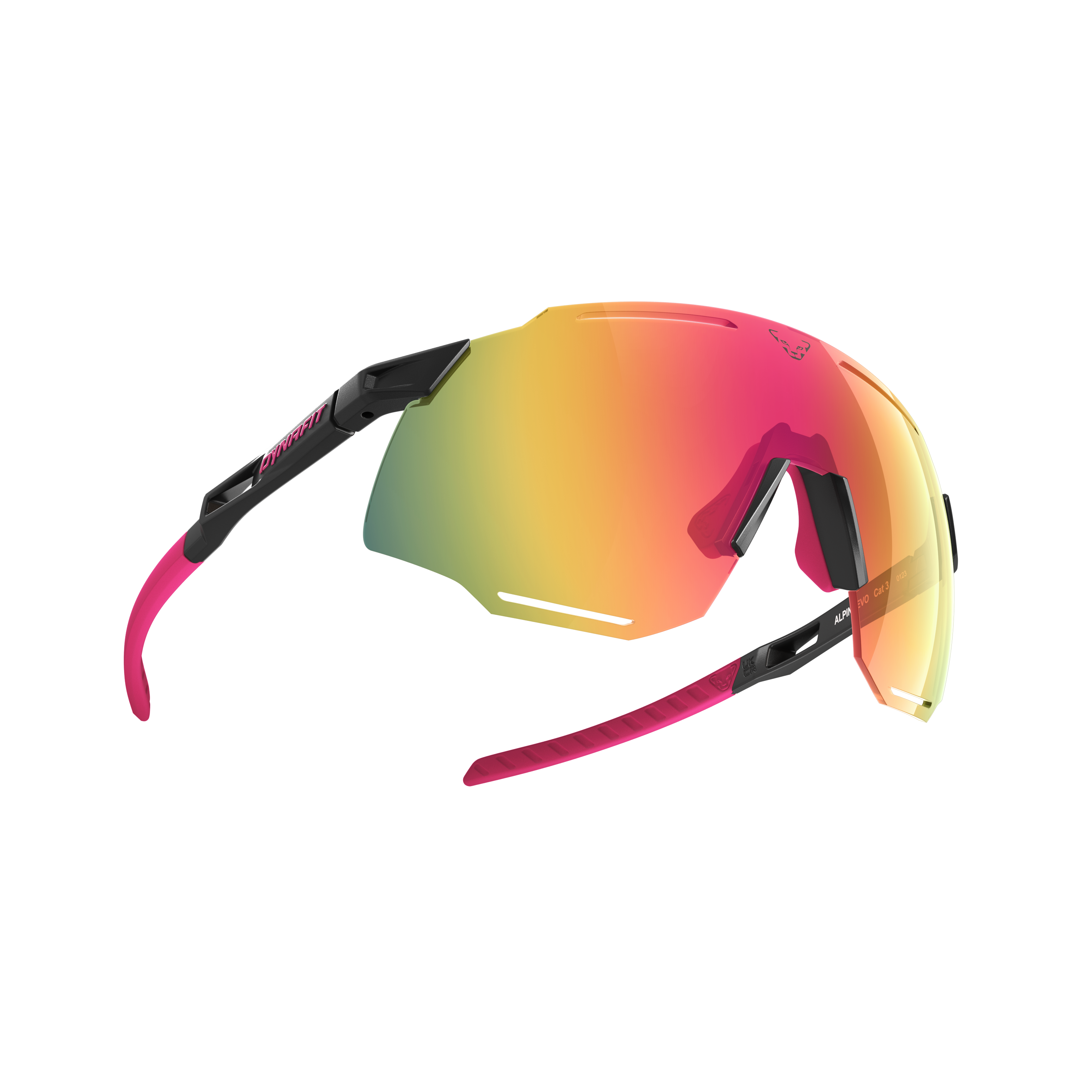 Alpine Evo Sunglasses