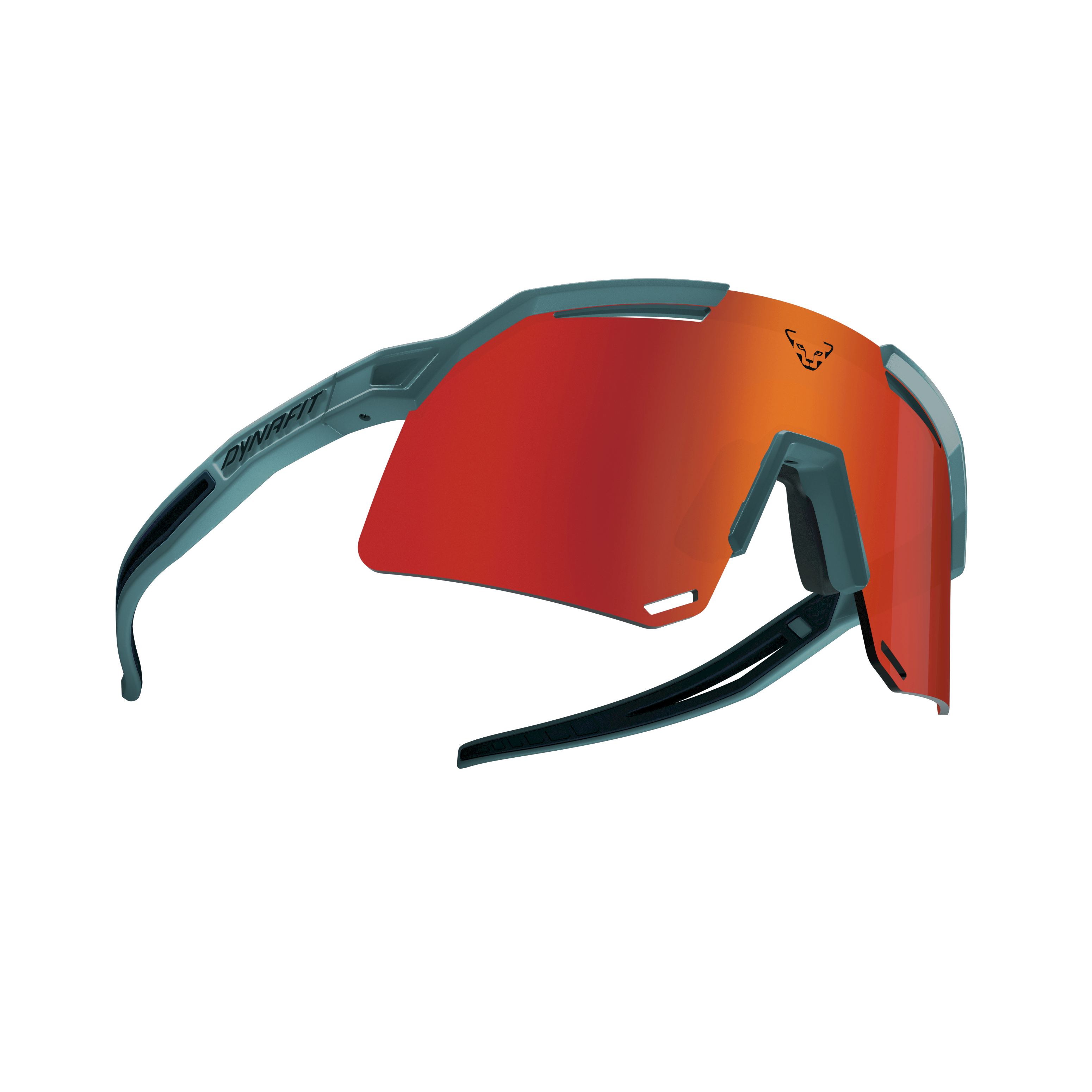 Ultra Evo Sunglasses